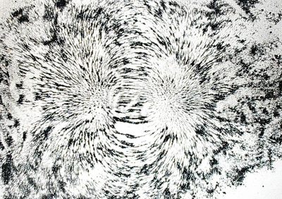 Iron Filings in a Magnetic Field